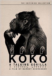 Koko: A Talking Gorilla (Criterion)