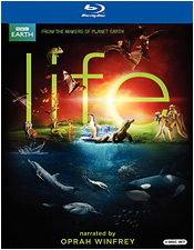 Life (Blu-ray Disc)
