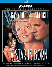 A Star Is Born (Blu-ray Disc)