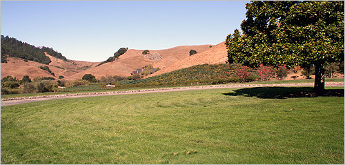 The view toward Skywalker Sound