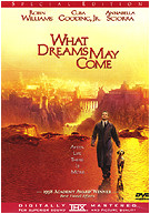 What Dreams May Come: Special Edition